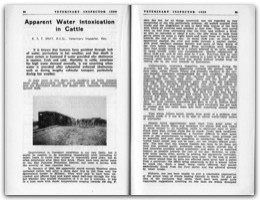 1959 Page 84 85